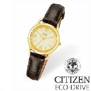 Citizen Ladies Gold Plated Eco-Drive Watch