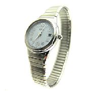 Citizen Ladies Silver-Tone Watch