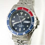 Pulsar Divers Watch Watch