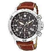 Citizen Eco-Drive Perpetual Calendar Men's Watch